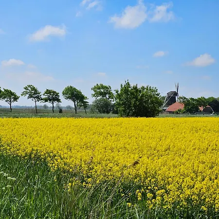 公寓 Nordseewohnung Strandloeper *